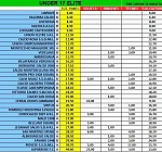 Under 17 élite