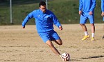 Ferreira