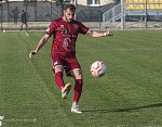 Martino