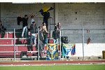 Tifo Spinea