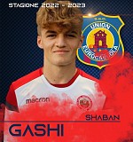 Gashi