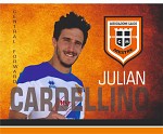 Cardellino