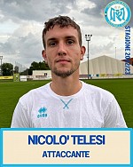 Telesi