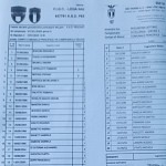 Pes Vig