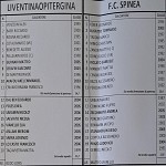 Leo Spi