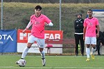 Masut e Alcides