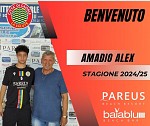 Amadio