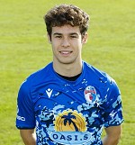 Gallo