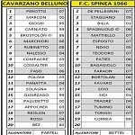 Cav Spi
