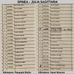 Spi Sag