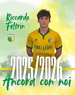 Feltrin