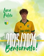 Polito