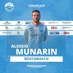 Munarin