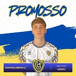 Agnoli