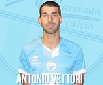 Vettori