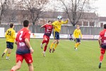 Luparense-Conegliano