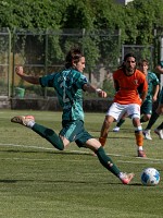 Brigati