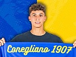 Cecchin