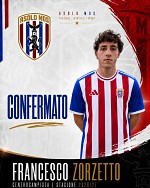 Zorzetto