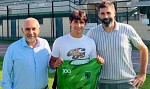 Muletto, Vendraminetto, Stocco